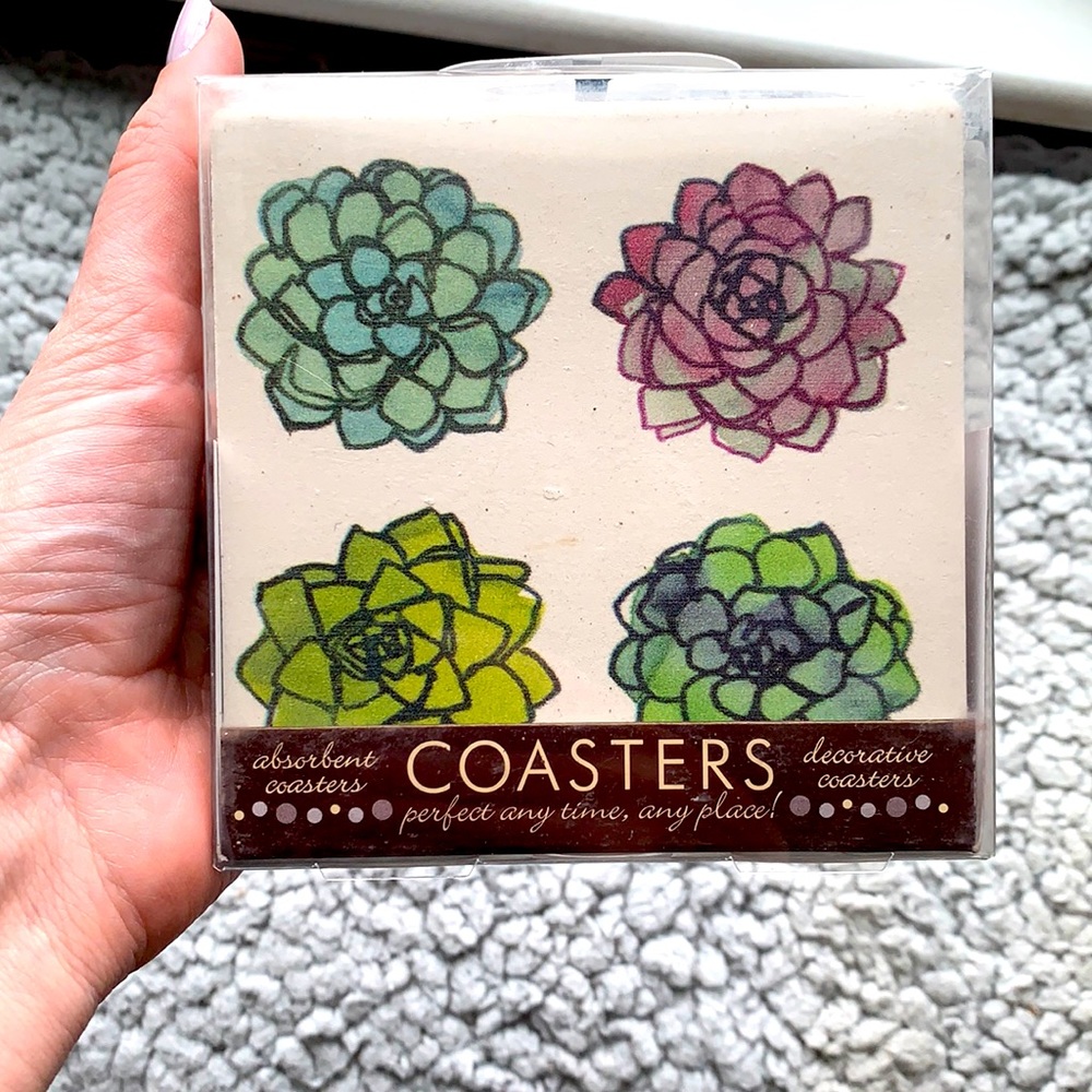 Succulent coasters